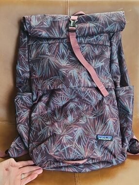 NWT Patagonia Fieldsmith Roll-Top Pack